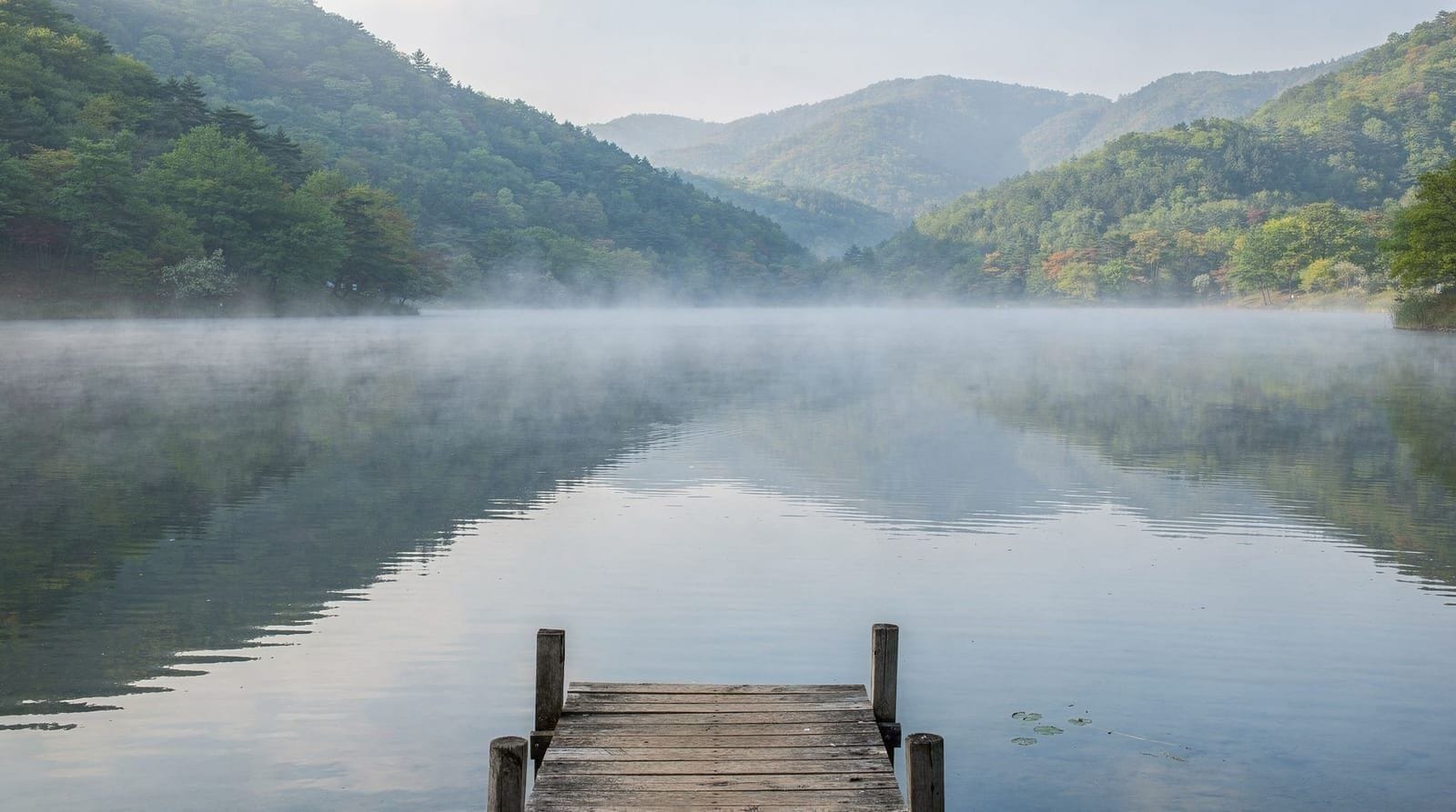 Chuncheon: dakgalbi, lakeside scenery, and Nami Island's mainland gateway