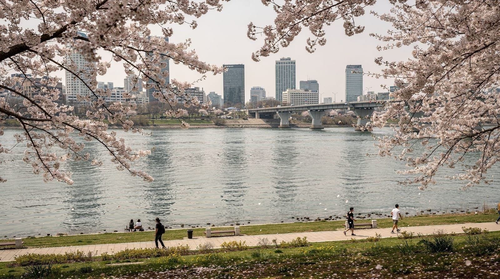 Yeouido and the Han River