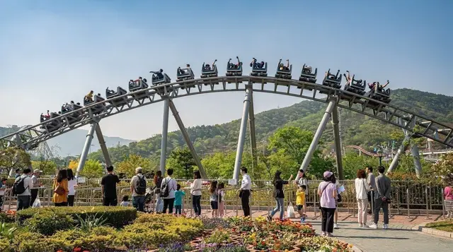 Everland vs lotte world