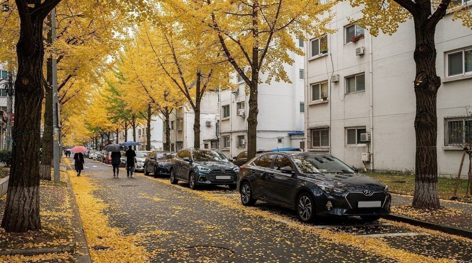 Seoul autumn foliage season