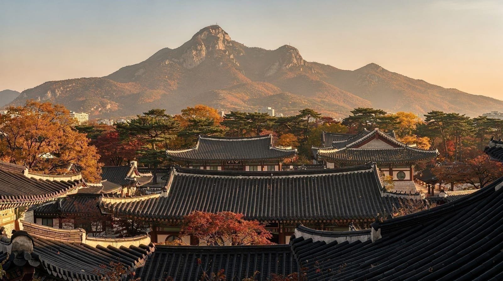 Gyeongbokgung Palace at dusk with the Seoul skyline behind it